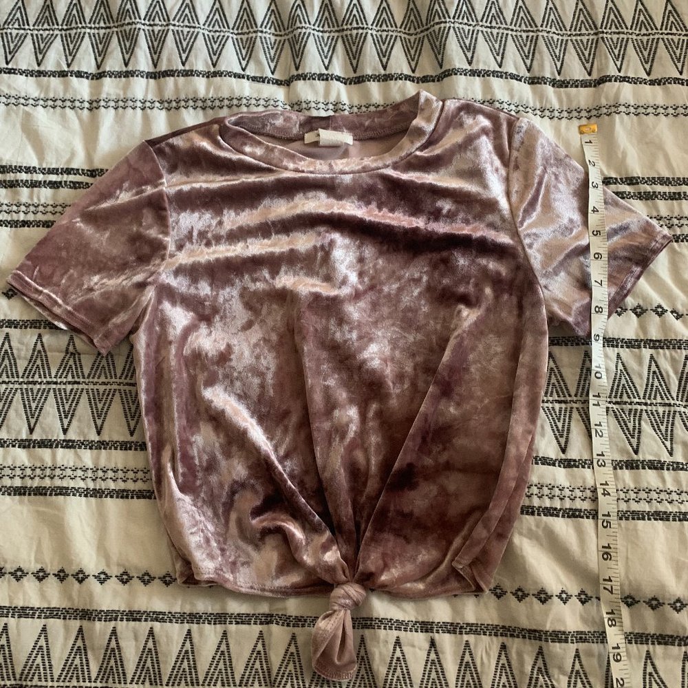 Velvet Crop Top